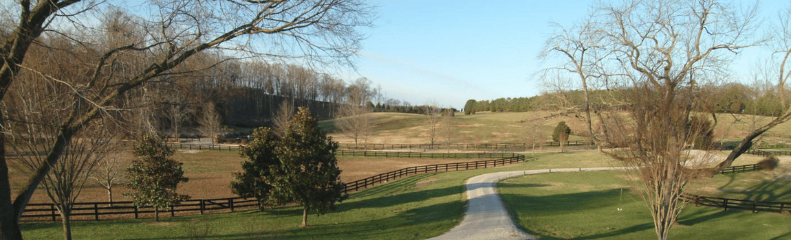 Virginia Estates For Sale